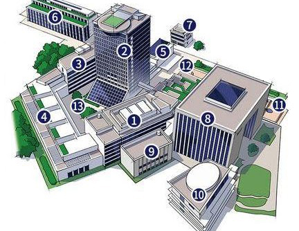 東洋大学